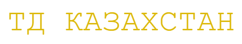 logo ТД Казахстан